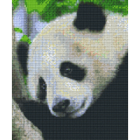 Panda 806150